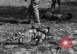Immagine di Quarantesimo Division Bamban Luzon Filippine, 1945, secondo 43 filmato di repertorio 65675077020