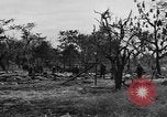 Immagine di Quarantesimo Division Bamban Luzon Filippine, 1945, secondo 56 filmato di repertorio 65675077020
