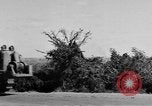Immagine di Quarantesimo Division Filippine, 1945, secondo 41 filmato di repertorio 65675077025