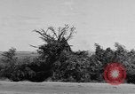 Immagine di Quarantesimo Division Filippine, 1945, secondo 47 filmato di repertorio 65675077025