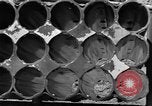 Image of American soldiers Germany, 1945, second 62 stock footage video 65675077029