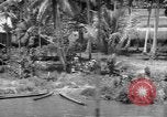 Immagine di Soldati americani Mindanao nelle Filippine, 1945, secondo 59 filmato di repertorio 65675077030