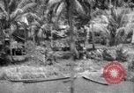 Immagine di Soldati americani Mindanao nelle Filippine, 1945, secondo 61 filmato di repertorio 65675077030