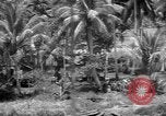 Immagine di Soldati americani Mindanao nelle Filippine, 1945, secondo 62 filmato di repertorio 65675077030