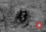 Immagine di Soldati americani Mindanao nelle Filippine, 1945, secondo 16 filmato di repertorio 65675077037