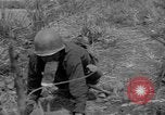 Immagine di Soldati americani Mindanao nelle Filippine, 1945, secondo 18 filmato di repertorio 65675077037