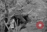 Immagine di Soldati americani Mindanao nelle Filippine, 1945, secondo 20 filmato di repertorio 65675077037