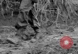 Image of US troops of 103rd Infantry Regiment in Philippines Cebu Philippines, 1945, second 20 stock footage video 65675077041