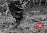 Image of US troops of 103rd Infantry Regiment in Philippines Cebu Philippines, 1945, second 21 stock footage video 65675077041