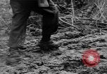 Image of US troops of 103rd Infantry Regiment in Philippines Cebu Philippines, 1945, second 34 stock footage video 65675077041