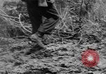Image of US troops of 103rd Infantry Regiment in Philippines Cebu Philippines, 1945, second 35 stock footage video 65675077041