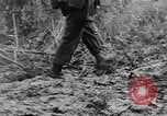 Image of US troops of 103rd Infantry Regiment in Philippines Cebu Philippines, 1945, second 36 stock footage video 65675077041