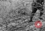 Image of US troops of 103rd Infantry Regiment in Philippines Cebu Philippines, 1945, second 39 stock footage video 65675077041