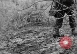 Image of US troops of 103rd Infantry Regiment in Philippines Cebu Philippines, 1945, second 44 stock footage video 65675077041