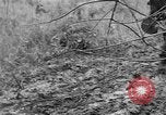 Image of US troops of 103rd Infantry Regiment in Philippines Cebu Philippines, 1945, second 45 stock footage video 65675077041