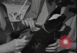 Image of American models Miami Beach Florida USA, 1941, second 27 stock footage video 65675077057