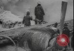 Immagine di Cargo relitto aereo New York United States USA, 1958, secondo 12 filmato di repertorio 65675077062