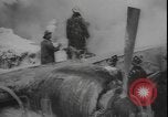 Immagine di Cargo relitto aereo New York United States USA, 1958, secondo 13 filmato di repertorio 65675077062