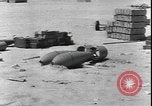 Image of Refuelling and arming  an RAF 211 Squadron Blenheim in Egypt, Egypt, 1940, second 24 stock footage video 65675077069