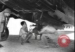 Image of Refuelling and arming  an RAF 211 Squadron Blenheim in Egypt, Egypt, 1940, second 32 stock footage video 65675077069