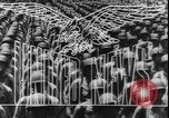 Standbild motor Torpedoboote Panama Canal, 1943, aus Sekunde 13 historischem Filmmaterial Videoclip 65675077070