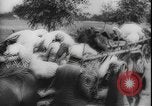 Image of Polish refugees Iran, 1943, second 32 stock footage video 65675077076
