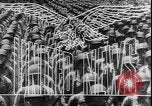Image of French sailors New York United States USA, 1943, second 13 stock footage video 65675077077