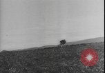 Image of Allied troops North Africa, 1943, second 50 stock footage video 65675077079