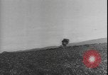 Image of Allied troops North Africa, 1943, second 51 stock footage video 65675077079