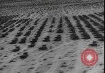 Image of armored division California United States USA, 1943, second 9 stock footage video 65675077080