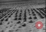 Image of armored division California United States USA, 1943, second 10 stock footage video 65675077080