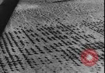 Image of armored division California United States USA, 1943, second 13 stock footage video 65675077080