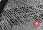 Image of armored division California United States USA, 1943, second 14 stock footage video 65675077080