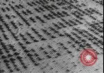 Image of armored division California United States USA, 1943, second 16 stock footage video 65675077080