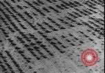 Image of armored division California United States USA, 1943, second 17 stock footage video 65675077080