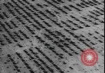 Image of armored division California United States USA, 1943, second 18 stock footage video 65675077080
