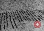 Image of armored division California United States USA, 1943, second 22 stock footage video 65675077080