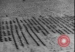 Image of armored division California United States USA, 1943, second 23 stock footage video 65675077080