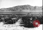 Image of armored division California United States USA, 1943, second 25 stock footage video 65675077080