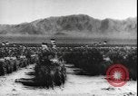 Image of armored division California United States USA, 1943, second 27 stock footage video 65675077080