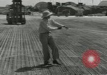 Image of DB-17P aircraft Enewetak Atoll Marshall Islands, 1946, second 36 stock footage video 65675077098