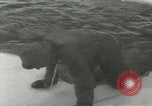 Image of American soldiers New Hampshire United States USA, 1953, second 39 stock footage video 65675077105