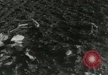 Image crash d'avion de transport militaire Alvarado California USA, 1953, de la seconde 14 séquences d'archives historiques vidéo 65675077111