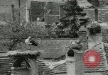 Image of storks Austria, 1957, second 9 stock footage video 65675077122