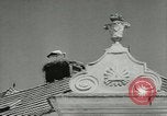 Image of storks Austria, 1957, second 10 stock footage video 65675077122