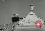 Image of storks Austria, 1957, second 11 stock footage video 65675077122