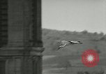 Image of storks Austria, 1957, second 29 stock footage video 65675077122