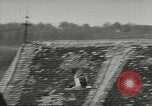 Image of storks Austria, 1957, second 32 stock footage video 65675077122