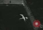 Image of storks Austria, 1957, second 33 stock footage video 65675077122