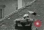 Image of storks Austria, 1957, second 40 stock footage video 65675077122